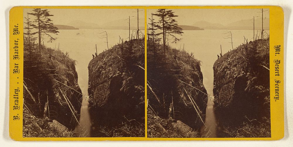 View on Porcupine Island, Bar Harbor, Mt. Desert, Maine by Bryant Bradley