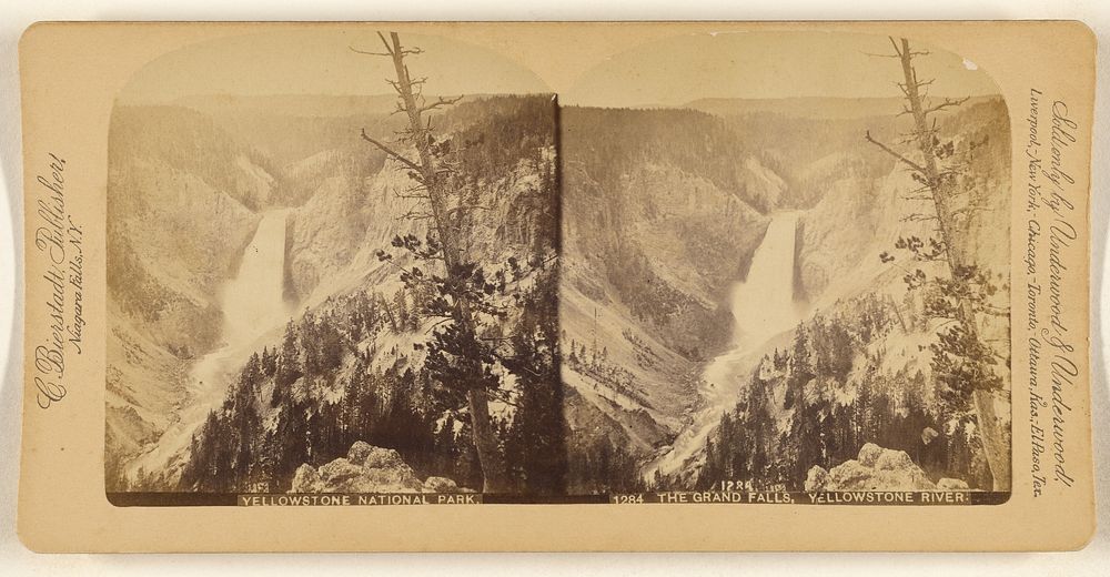 Yellowstone National Park. The Grand River, Yellowstone River. by Charles Bierstadt