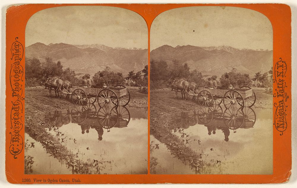 View in Ogden Canon, Utah. by Charles Bierstadt