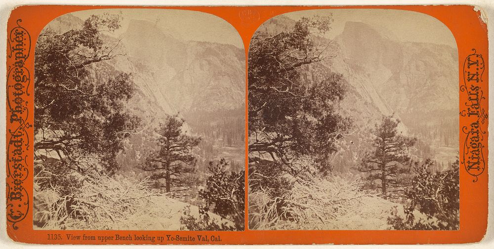 View from upper Bench looking up Yo-Semite Val, Cal. by Charles Bierstadt
