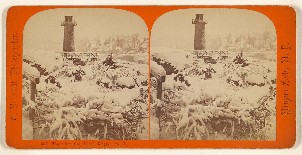 Tower from Goat Island, Niagara Falls, N.Y. by Charles Bierstadt