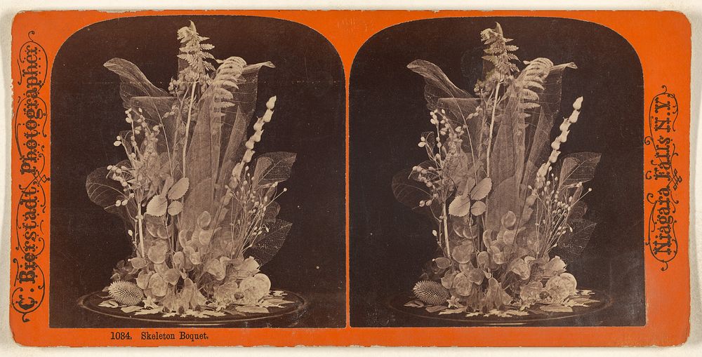 Skeleton Bouquet. by Charles Bierstadt
