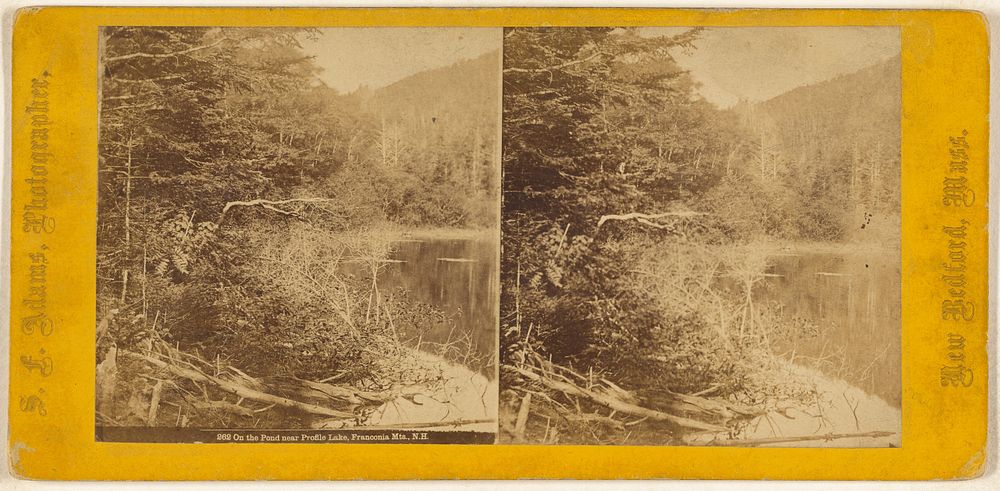 On the Pond near Profile Lake, Franconia Mts., N.H. by Edward Bierstadt and S F Adams
