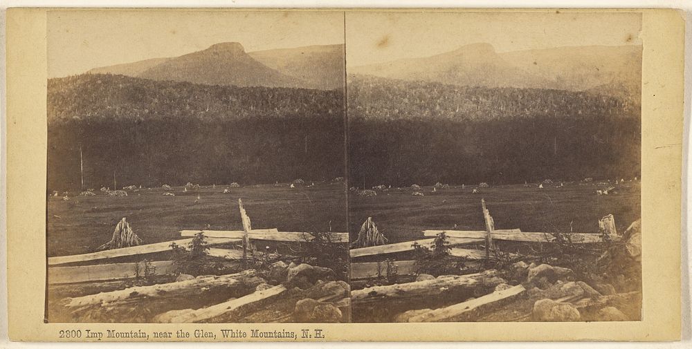 Imp Mountain, near the Glen, White Mountains, N.H. by Edward Bierstadt