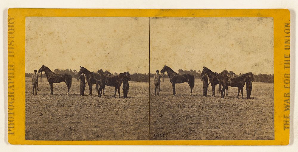 Lieut. Gen. Grant's three horses; taken at Cold Harbor, Va. by Mathew B Brady and Edward and Henry T Anthony and Co
