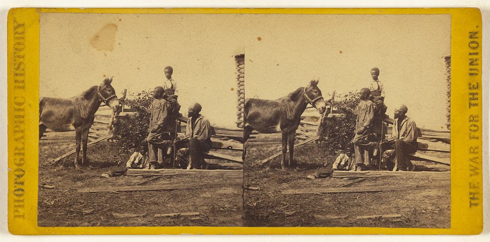 All the live stock left on Mr. Gill's plantation after the Battle of Gettysburgh. by Mathew B Brady