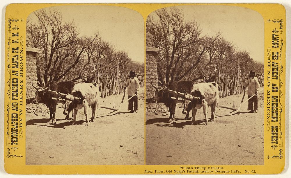 Mex. Plow, Old Noah's Patent, used by Tesuque Ind's. [Pueblo Tesuque] by William Henry Brown