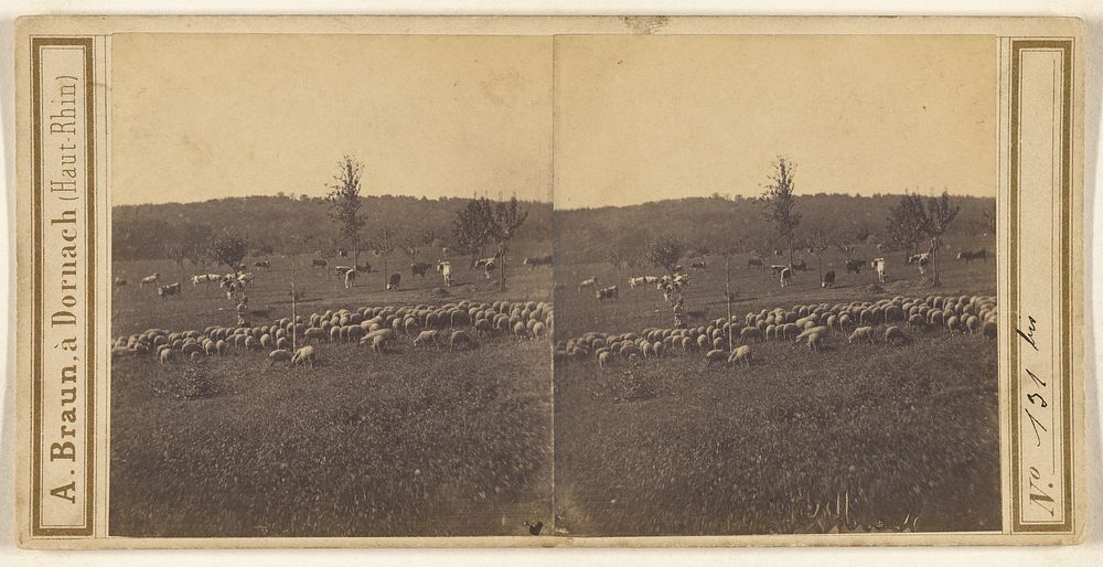 Pastoral scene with flock of sheep by Adolphe Braun