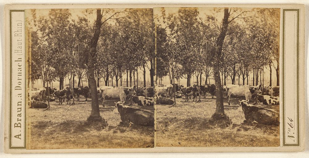 Pastoral scene with cows and trees by Adolphe Braun