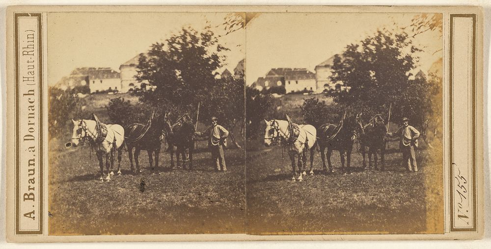 Man with bridled horses by Adolphe Braun