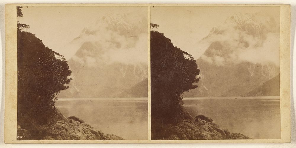 Milford Sound. by Burton Brothers