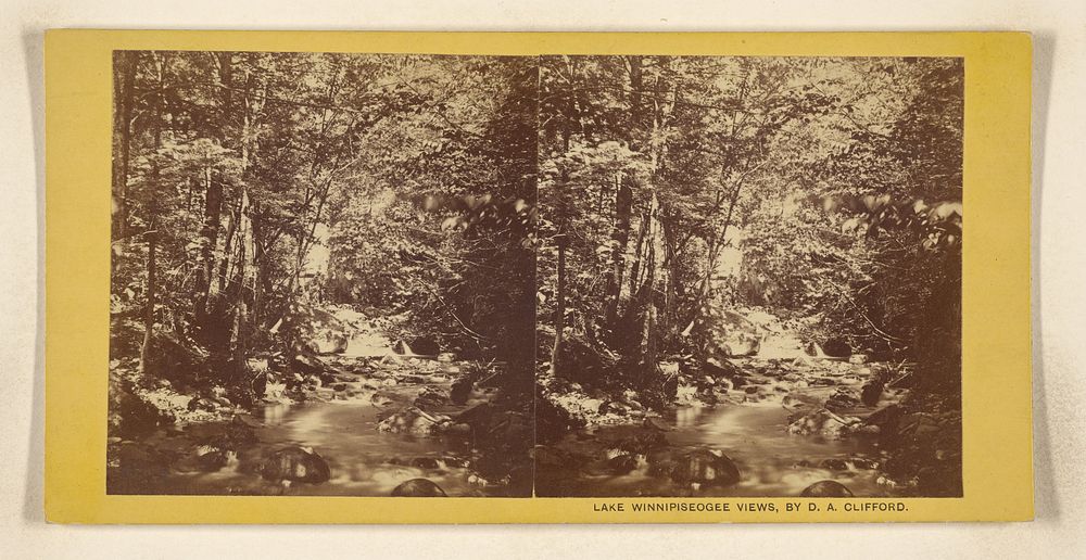 Brook below Ossipee Falls by Daniel A Clifford