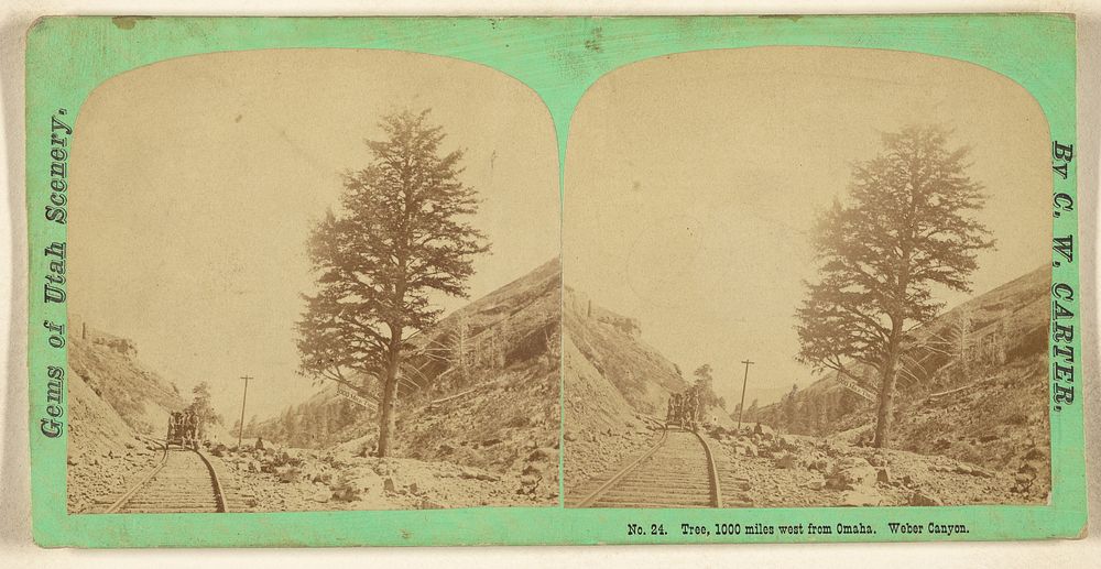 Tree, 1000 miles west from Omaha. Weber Canyon. [Utah] by Charles William Carter