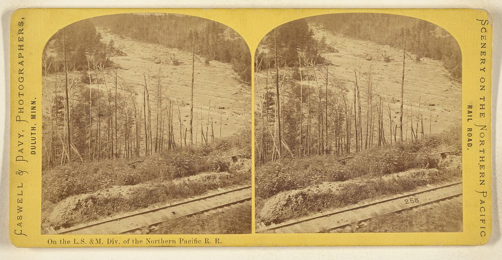 On the L.S. & M. Div. of the Northern Pacific R.R. by Caswell and Davy