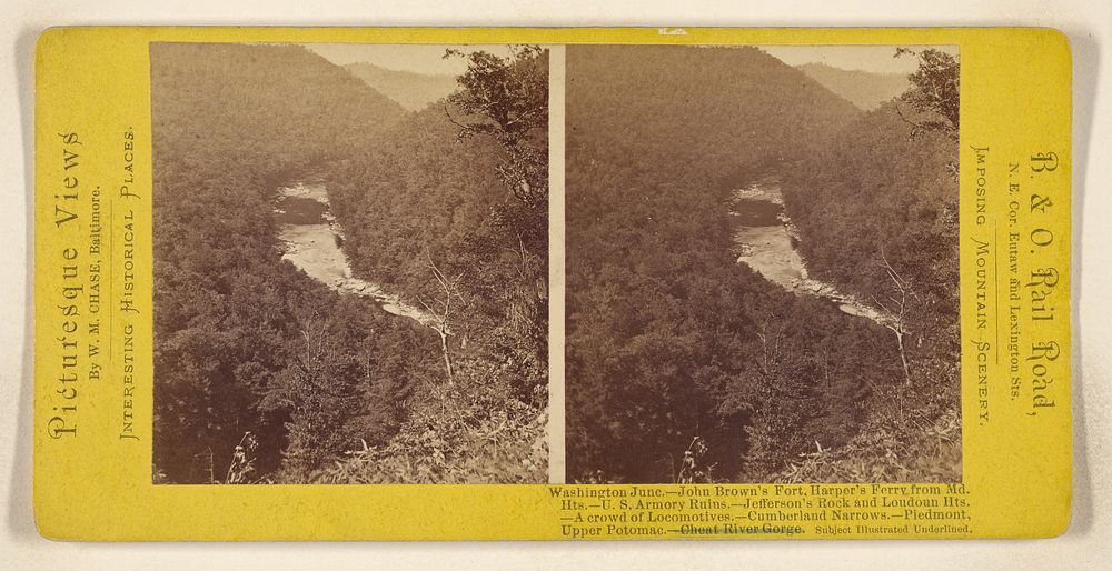 Cheat River Gorge. by William M Chase