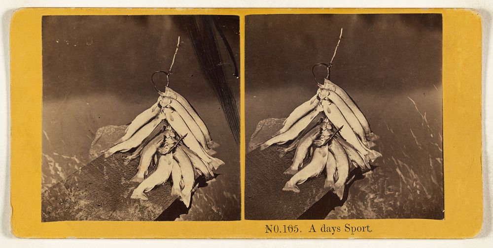 A days [sic] Sport. by O H Cook