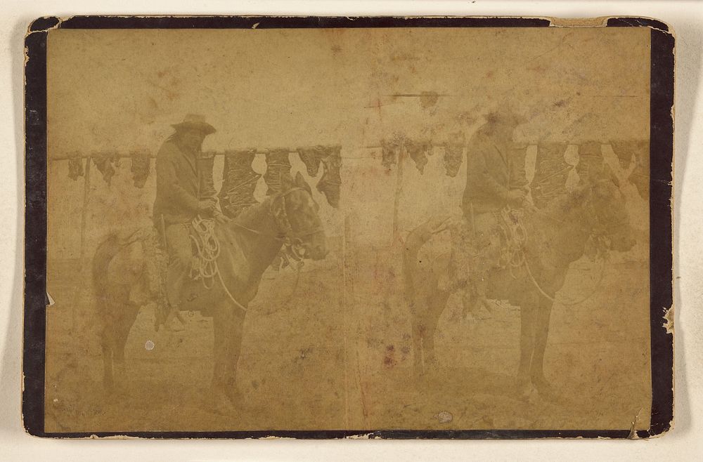 Indian on horseback, skins drying on pole in background by W R Cross