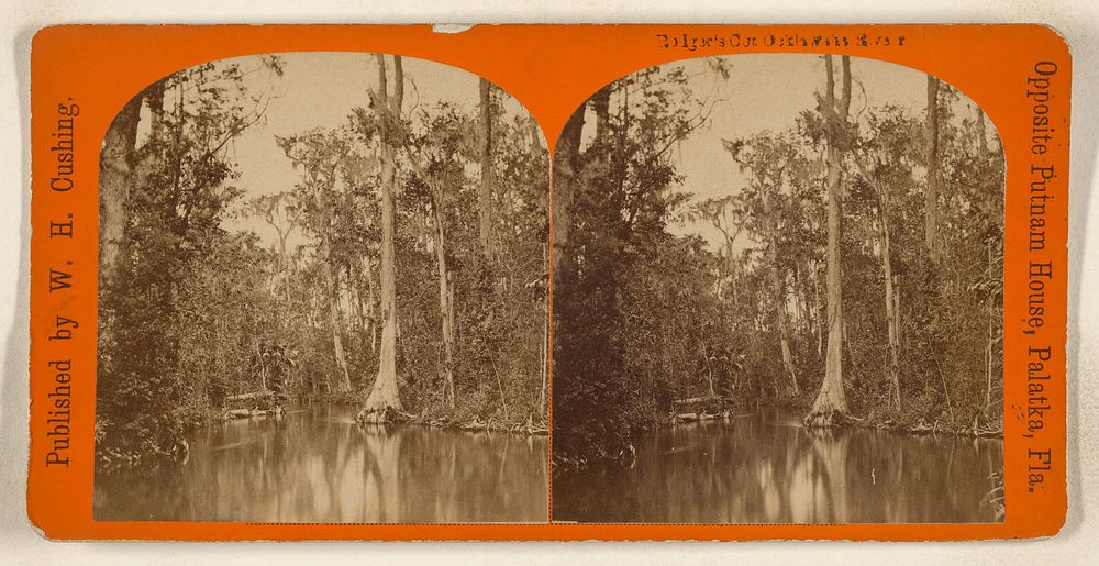 Rolger's Cut, Ocklawaha River. [Florida] by W H Cushing