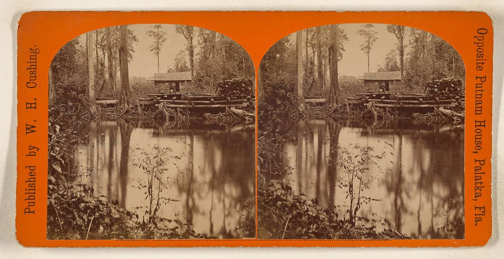 Swamp scene with house on docks made of logs, Florida by W H Cushing