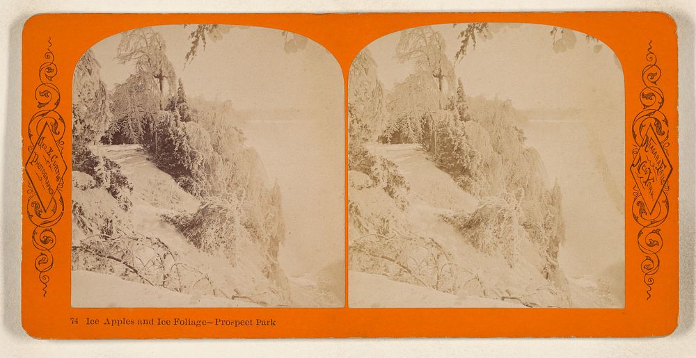 Ice Apples and Ice Foliage - Prospect Park [Niagara Falls, N.Y.] by George E Curtis