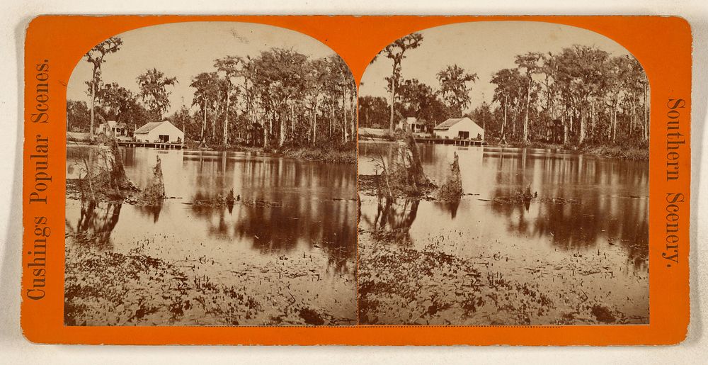 River scene, Florida by W H Cushing