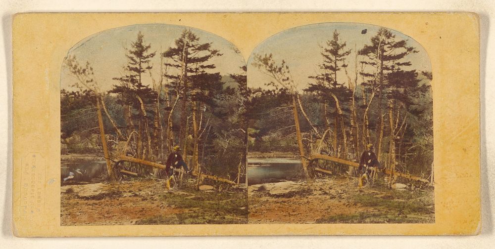 View of the Catskill Mountains. by William England