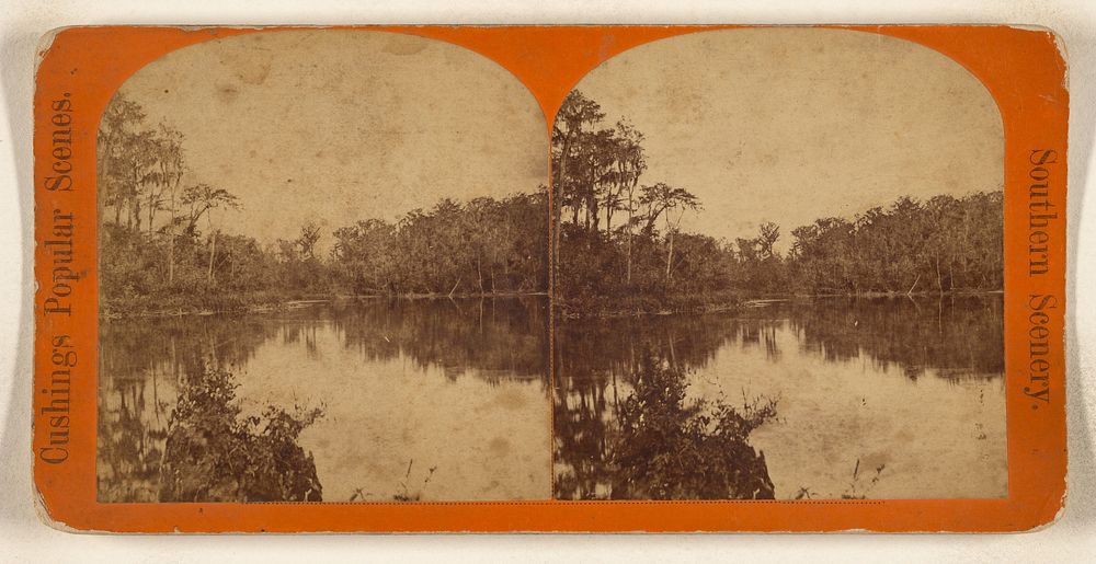 Silver Spring, Ocklawaha River. [Florida] by W H Cushing