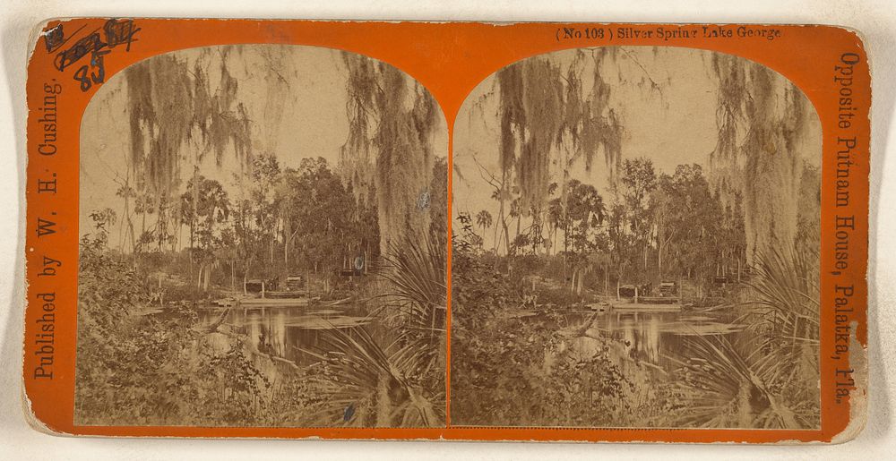 Silver Spring Lake George [Florida] by W H Cushing