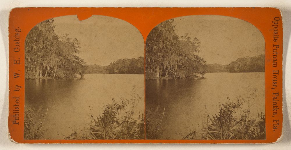 View on the Ocklawaha River, Florida by W H Cushing