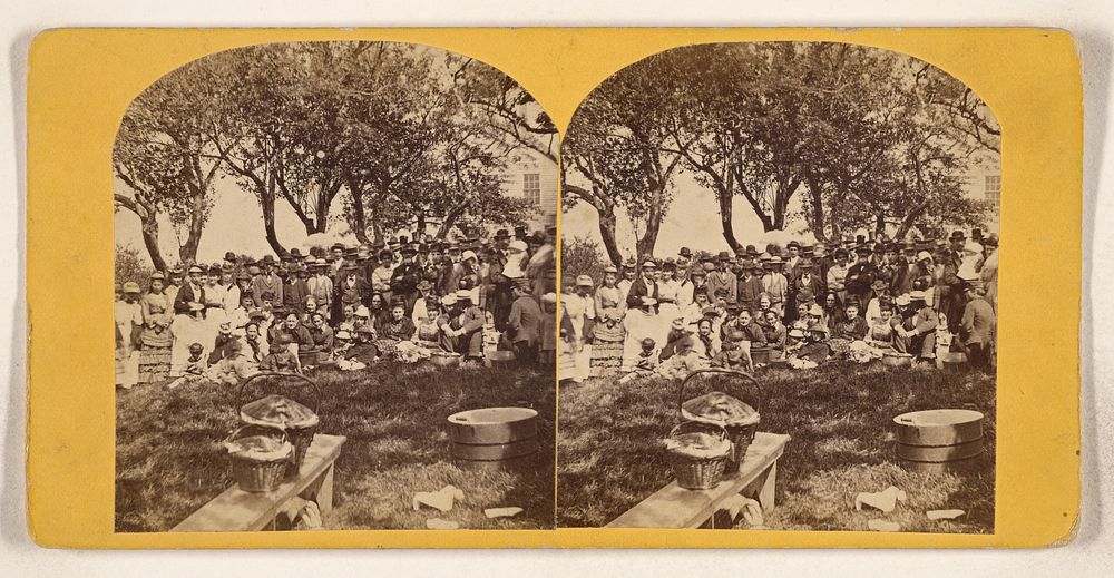 Group of people at a picnic, Portland, Maine by Isaac H Dupee and Co