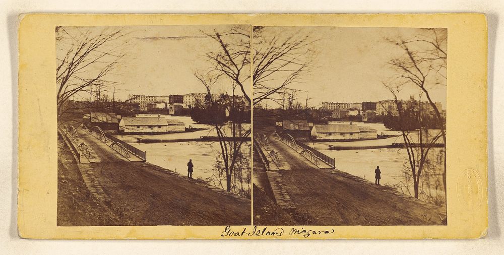 Scene from Goat Island. Niagara Village in the distance by Edinburgh Stereographic Company
