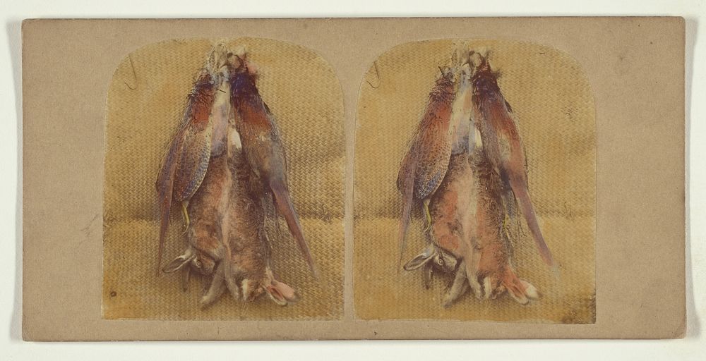 Still life of hanging fowl and rabbits by Roger Fenton