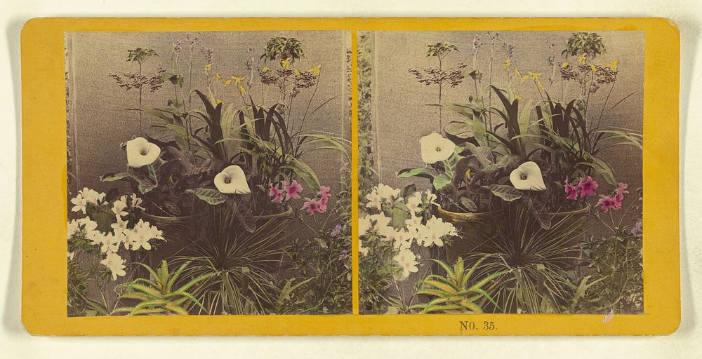 Potted flowers by Benjamin West Kilburn