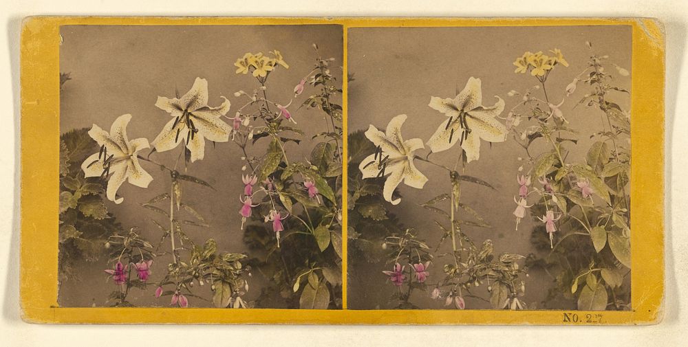Group of flowers by Benjamin West Kilburn
