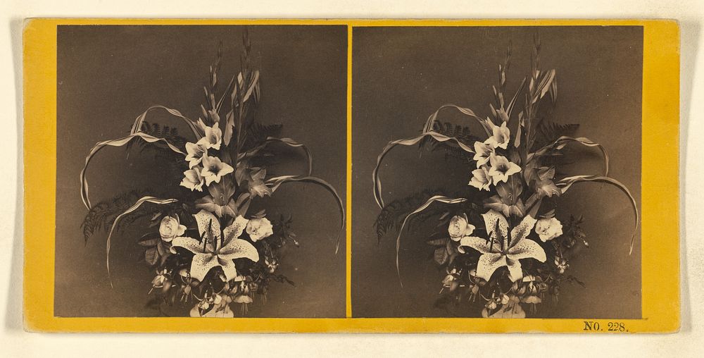 Flower arrangement by Benjamin West Kilburn