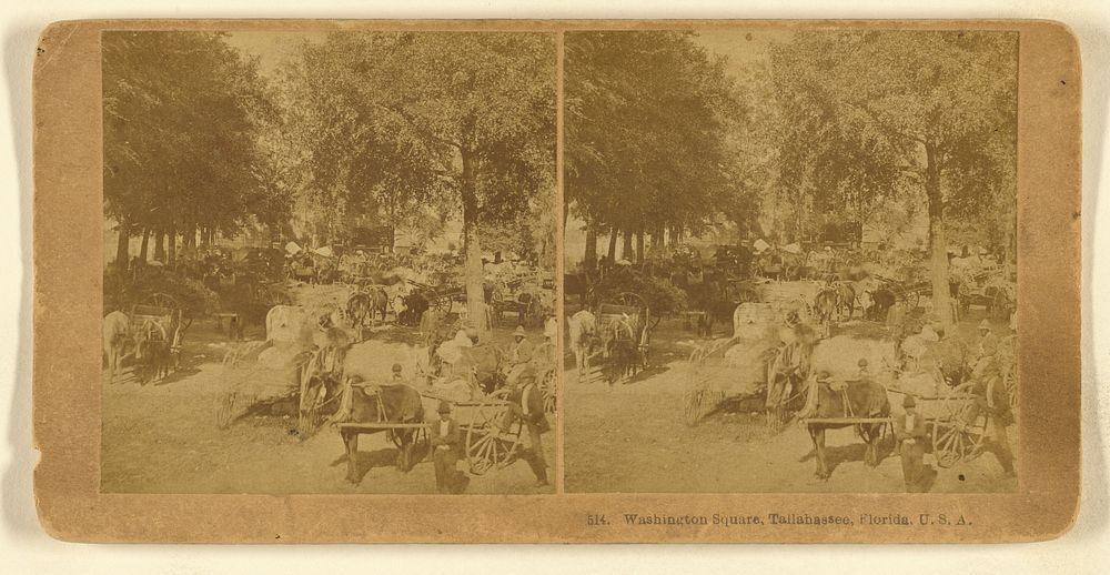 Washington Square, Tallahassee, Florida, U.S.A. by Benjamin West Kilburn