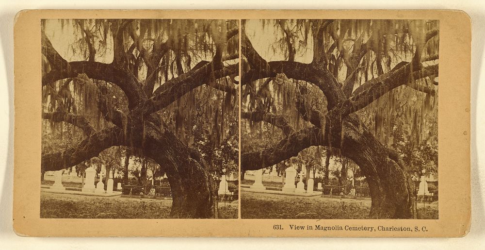 View in Magnolia Cemetery, Charleston, S.C. by Benjamin West Kilburn