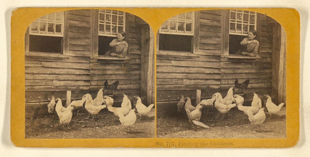 Feeding the Chickens by Benjamin West Kilburn