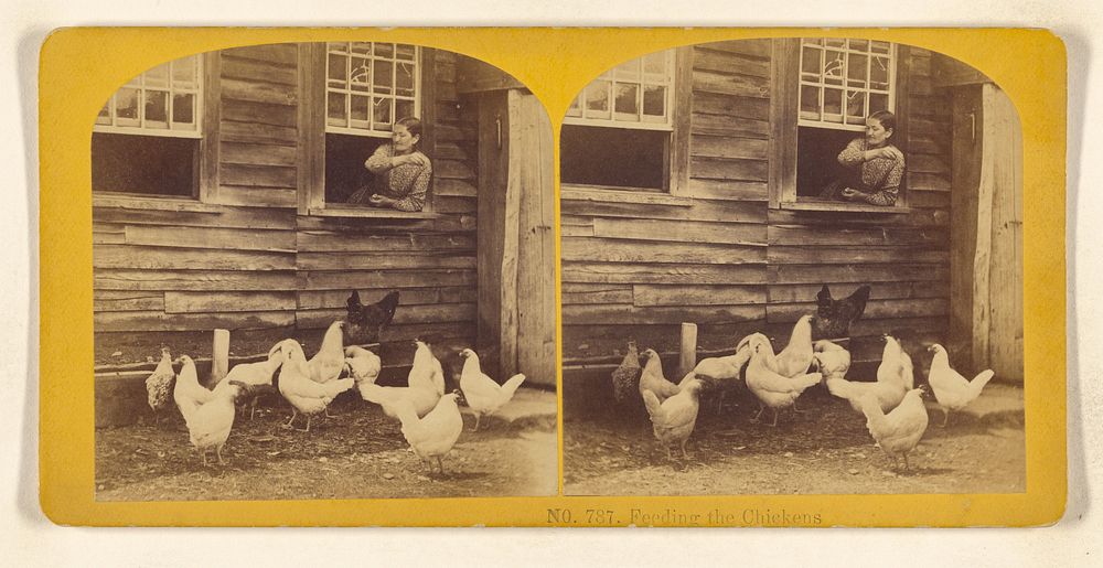 Feeding the Chickens by Benjamin West Kilburn