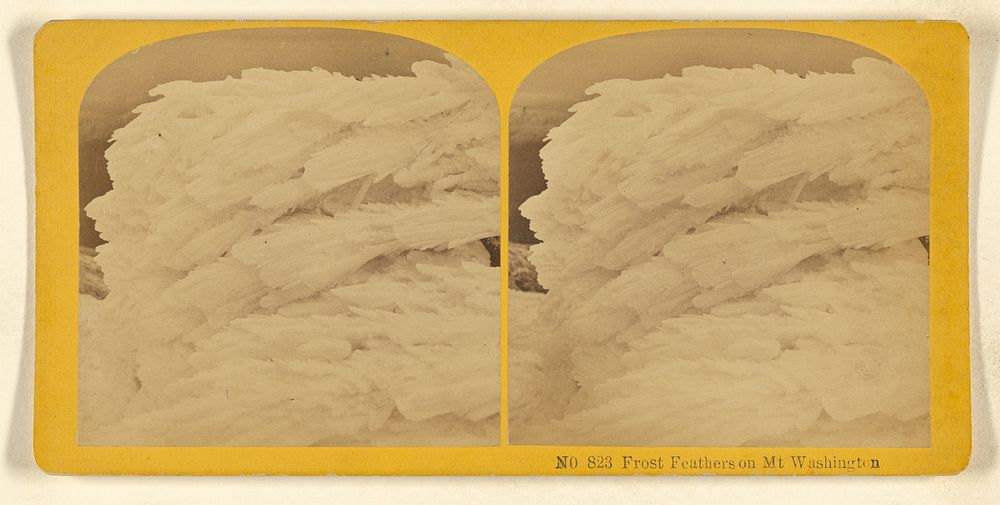 Frost Feathers on Mt. Washington by Benjamin West Kilburn
