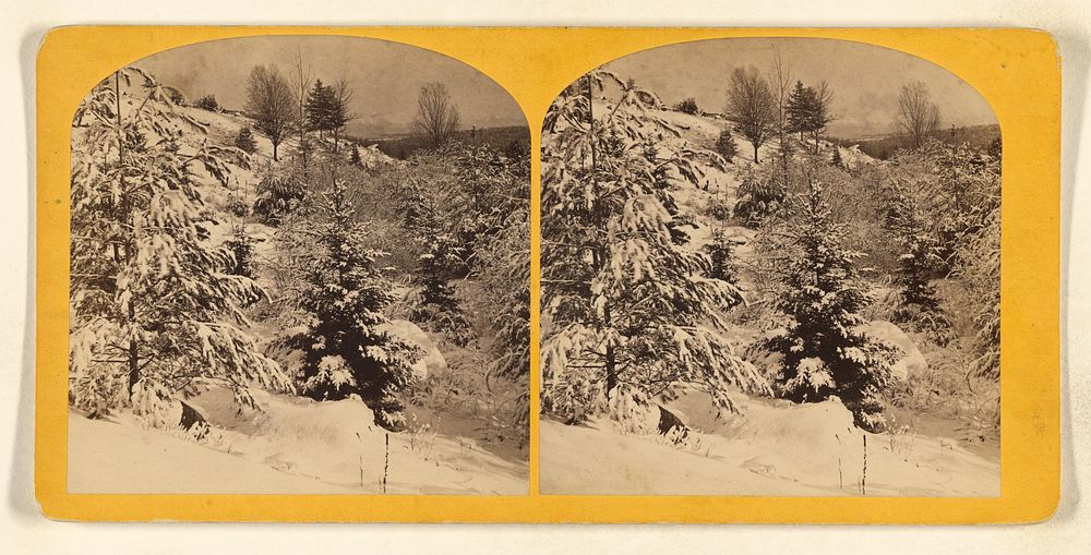 Snow scene in woods by Benjamin West Kilburn