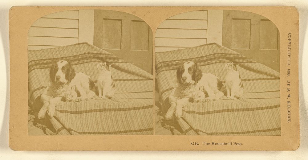 The Household Pets. by Benjamin West Kilburn