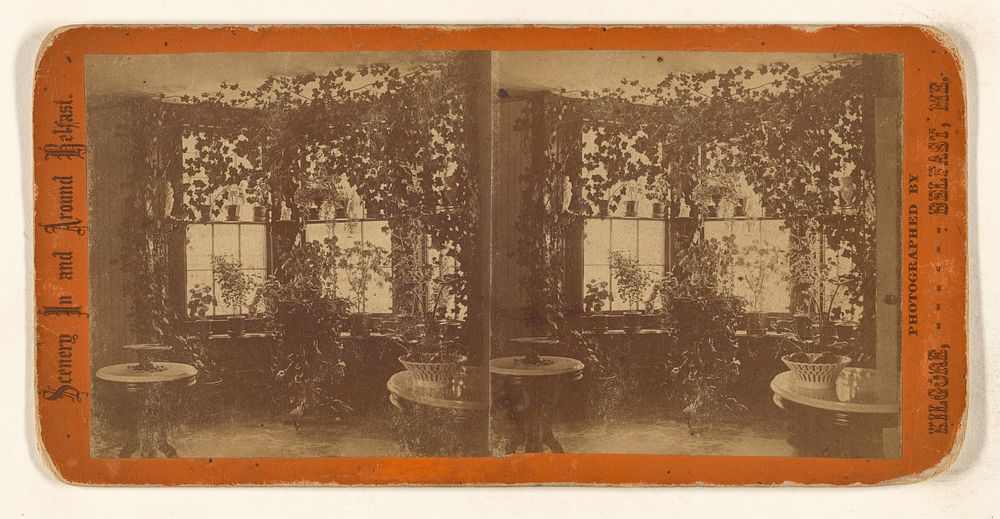 Interior of a sitting room with plants at Belfast, Maine by Henry L Kilgore