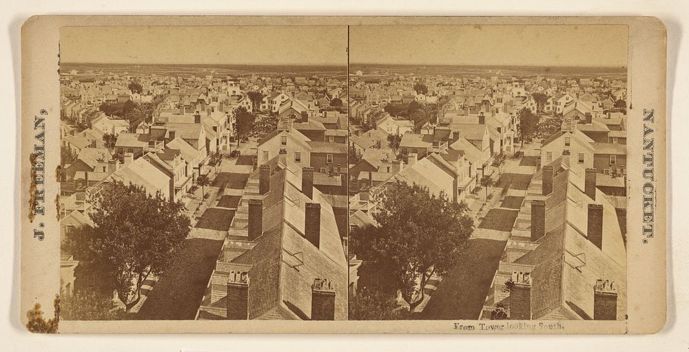 From Tower looking South. [Nantucket, Mass.] by Josiah Freeman
