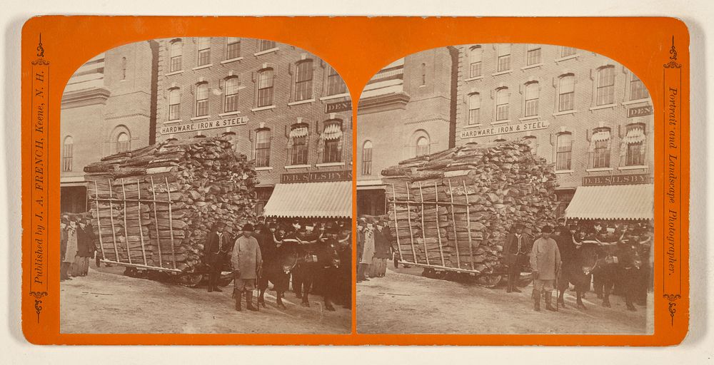 The Champion Load of Wood Drawn to the Cheshire Railroad Company, at the City of Keene, N.H., Feb. 6th, 1875, by Roswell…