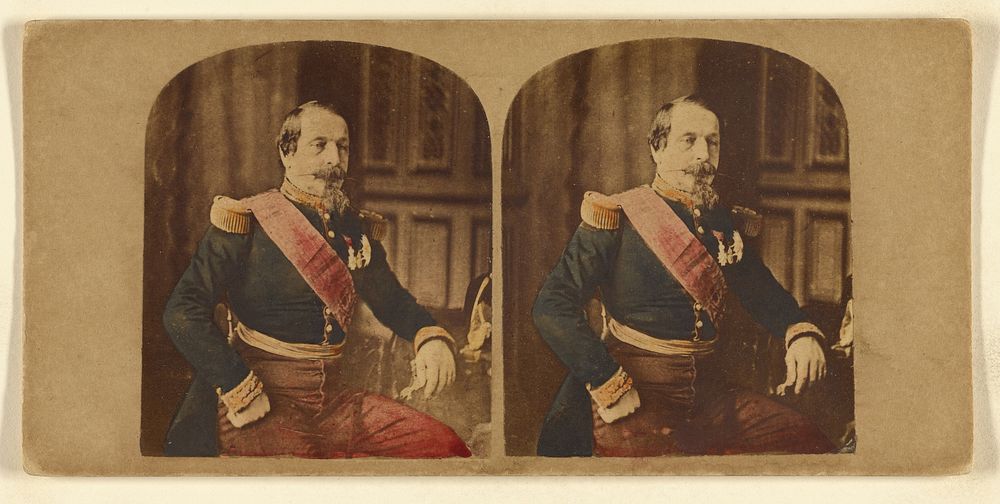 Portrait d'Apres Nature de Sa Majeste Napoleon III (Charles-Louis) Empereur des Francais... by Mayer and Pierson and Alexis…