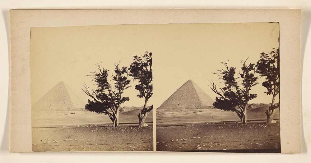 View of a pyramids with trees at right foreground by Francis Frith