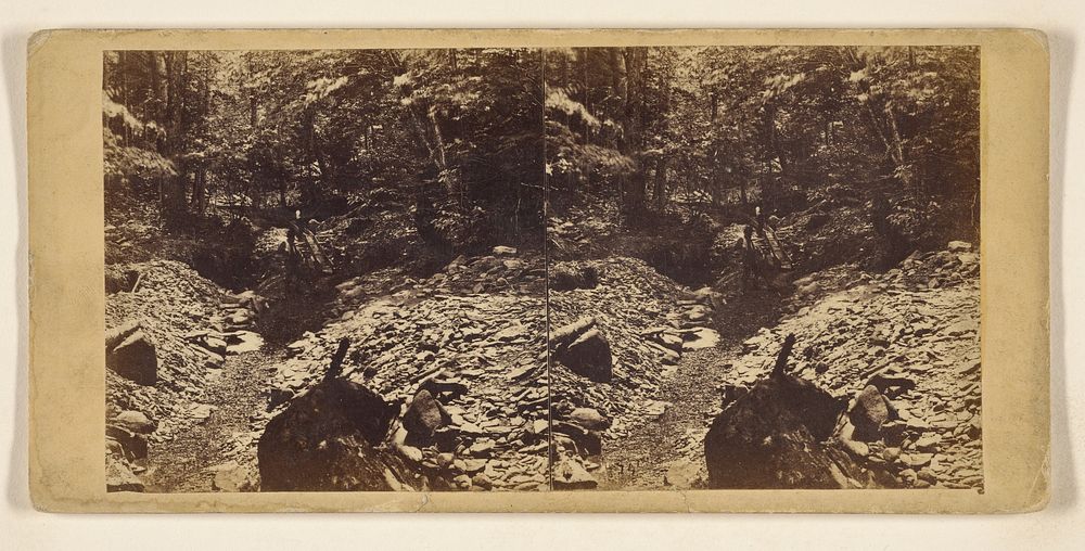 Hills and Dales of New England. Gold Digging at Porter's Ravine, in Gold Miner's Glen, Plymouth, Vt. by Franklin Benjamin…