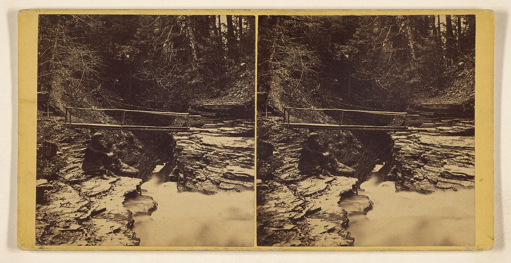 Glen Scenery, Views in Freer's Glen at Watkins, Schuyler Co., N.Y. Rustic Bridge, looking down, - 2nd Glen. by Gates…