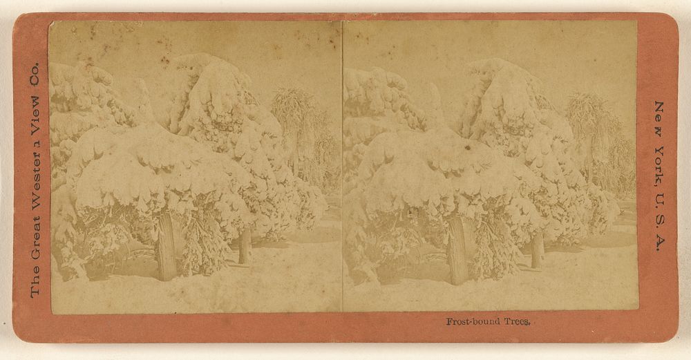 Frost-bound Trees. by The Great Western View Company